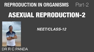 Reproduction in organism Part2  Asexual reproduction 2 NEET CLASS12  Dr Ramesh Panda [upl. by Rahab]