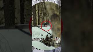 Paintball Headshot  Winter Magfed Paintball shorts magfedfi magfedpaintball paintball [upl. by Marc904]