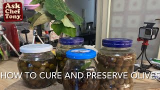 How to cure and preserve olives [upl. by Ygief529]