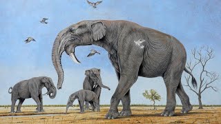 Deinotherium  Prehistoric Elephants [upl. by Sibeal668]