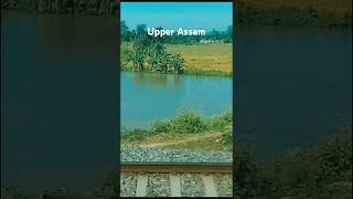 The Most beautiful place in Upper Assam❤❤❤shoorts viralshorts assam beautifulplace 🔥🔥🔥🔥🔥🔥🔥🔥🔥🔥🔥🔥🔥 [upl. by Olinad772]