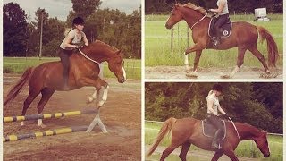 Reiten mit Halsring  Outtakes [upl. by Bethel61]