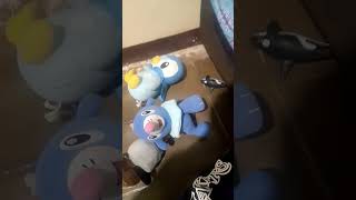 Psyduck vs Other plushies pokemon plush shorts [upl. by Hallie]