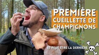 JAI TROUVÉ DE SUPER CHAMPIGNONS   Premiers pas dans la mycologie [upl. by Anerat]