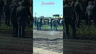 TRABAJOS AGRÍCOLAS EN YUMA ARIZONA USA [upl. by Jaye572]