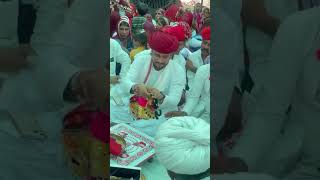 Rajasthani Mayra  Rajasthani Culture wedding rajasthan marwad dewasi rebari culture [upl. by Odlanir]