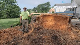 Stump Grinding Largest Stump in 25 Years [upl. by Nilat]