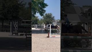 First proper canter on Bentley Sorry I’ve been so inactive  horse ilovemyhorse equestrian [upl. by Debbra]