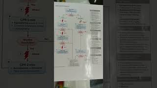 Adult cardiac arrest algorithm  cardiac arrest [upl. by Kopaz]