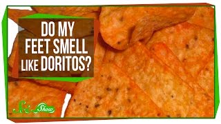 Do My Feet Smell Like Doritos [upl. by Edris]