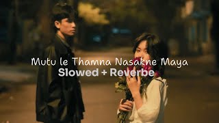 Mutu Le Thamna Nasakne Maya  Slowed amp Reverbe [upl. by Chesney455]