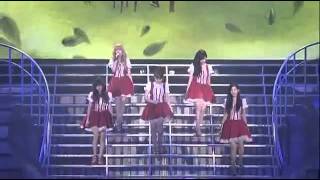 SNSD  FOREVER live [upl. by Bakki270]