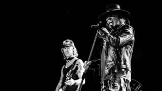 Vinnie Paul talks about Guns N Roses [upl. by Hgielak]