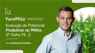 A evolução do pontencial produtivo no Milho 2ª Safra Pt 2 [upl. by Cower]