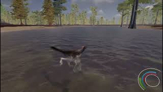 Saurian gameplay 04062024 [upl. by Eneli]