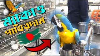 মাকাও পাখির দাম কত ‌।। Macaw bird price in bangladesh [upl. by Nodle]