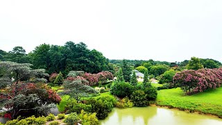 Norfolk Botanical Garden Tour [upl. by Edme]