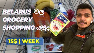 Grocery shopping in Belarus🇧🇾  Vitebsk  සිංහල vlog  Medical student life [upl. by Dlawso125]