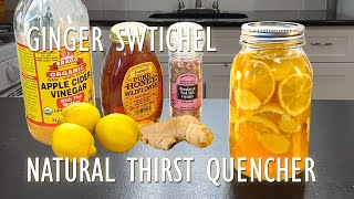 Ginger Switchel  Apple Cider Vinegar Tonic  Starts With Kitchen [upl. by Fredenburg]