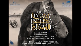 26th Al Rayyan Race Meeting  Al Rayyan Breeders Cup  Season 20232024 [upl. by Odelle]