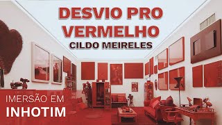 CILDO MEIRELES NO INHOTIM INSTALAÇÃO quotDESVIO PRO VERMELHOquot [upl. by Wulf]