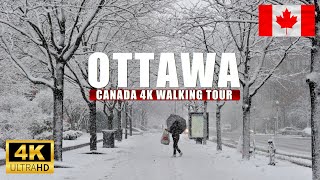 Ottawa Canada Winter Dec 2024 First Snow 4K Walking tour [upl. by Karlie]