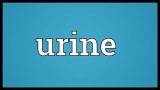 Urine Meaning [upl. by Ait]