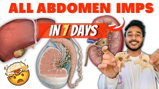 Abdomen anatomy in 7 days  important topic of abdomen anatomy  abdomen anatomy important topics [upl. by Pettifer]