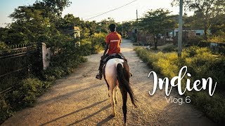 Mit dem Pferd durch Indiens Dörfer  Indien Vlog 6  YvisWay [upl. by Lledualc]