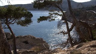 Balade à la calanque de Sugiton  Provence [upl. by Sehguh464]