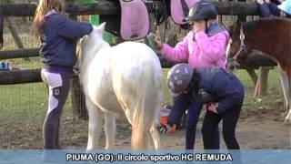 SPECIALE BIMBI A CAVALLO A GORIZIA [upl. by Yenalem]