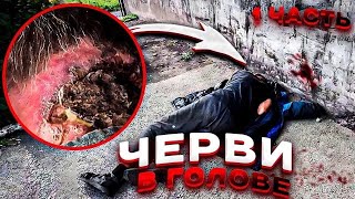 ЧУВСТВУЮ ЧЕРВИ В ГОЛОВЕ ШЕВЕЛЯТСЯ 1 ЧАСТЬ [upl. by Ahseinaj]