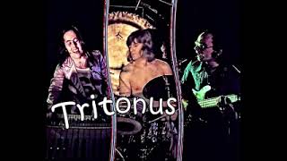 Tritonus  Tritonus  1975  Full Album [upl. by Ecinad752]