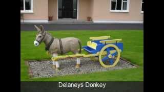 Delaneys Donkey [upl. by Alakcim]