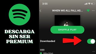 ✅ Cómo DESCARGAR Playlist en SPOTIFY sin ser Premium  Tutorial Paso a Paso [upl. by Drahsir]