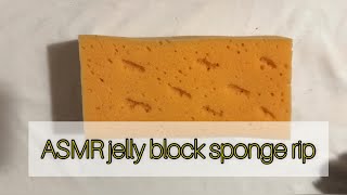 ASMR Jelly Sponge Week  dry jelly block sponge rip  ripping sponges  oddly satisfying  spongebob [upl. by Volpe]