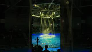 夜の水族館🦭🐠🐬🦈 水族館 マクセルアクアパーク品川 イルカショー プロジェクションマッピング 休日vlog 休日の過ごし方 olの休日 サメ [upl. by Reina]