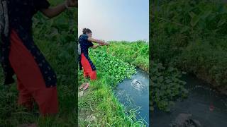 Best Fishing Video besthookfishing fishingmethods traditionalhookfishing fishingtechniques [upl. by Nivalc]