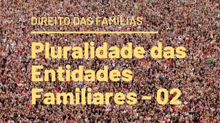 Direito das Famílias  Pluralidade das Entidades Familiares  02 [upl. by Aidole948]