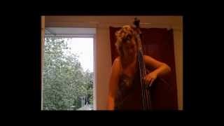 Bach cello suite no 1  double bass solo classical [upl. by Llerrem]