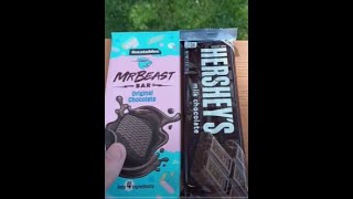 Is Mr Beasts Feastable really better than a HERSHEYS chocolate bar My Honest Review [upl. by Oigufer]