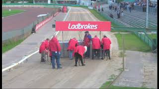 Droopys Aussie  Ladbrokes Gold Cup 2nd semifinal [upl. by Krm]