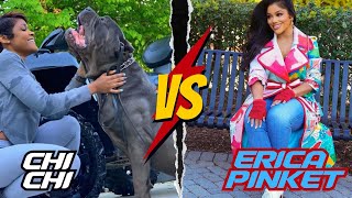 Kountry Wayne Member Chi Chi VS Erica Pinkett LIfestyle Biography Comparison 2024 [upl. by Adina]