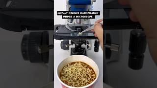 noodles under the microscope shortvideo microscope science microscopy microscopeview microscop [upl. by Olnay]