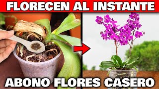 Tus PLANTAS FLORECERÁN COMO LOCAS Con este ABONO CASERO ORGÁNICO para FLORES  Fertilizantes [upl. by Oliver114]