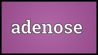 Adenose Meaning [upl. by Icnan]