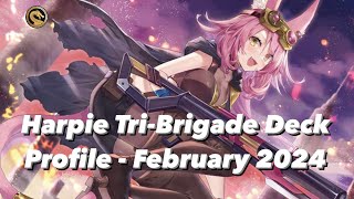 YuGiOh Harpie TriBrigade Deck Profile  February 2024 [upl. by Ibrab]