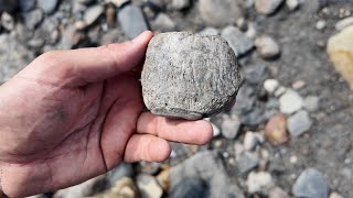 More fossil bones down in Ravenscar [upl. by Leonore197]