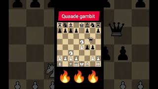 Quaade gambit chess youtubeshorts chesstalkbangla [upl. by Glogau]