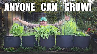 5 Easiest Crops For Beginner Gardeners [upl. by Rushing]